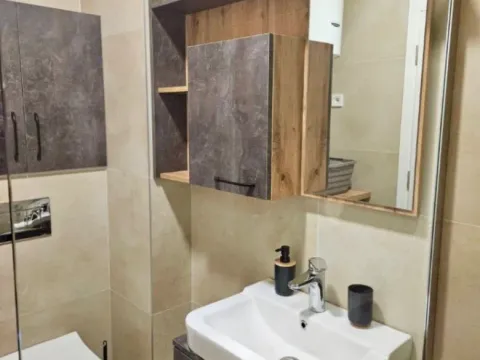 Izdavanje, jednosoban stan, 45m², Zabjelo, Podgorica - image 9