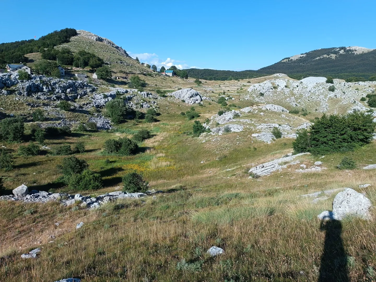 Prodaja, plac, 9000m², Ivanova Korita, Cetinje