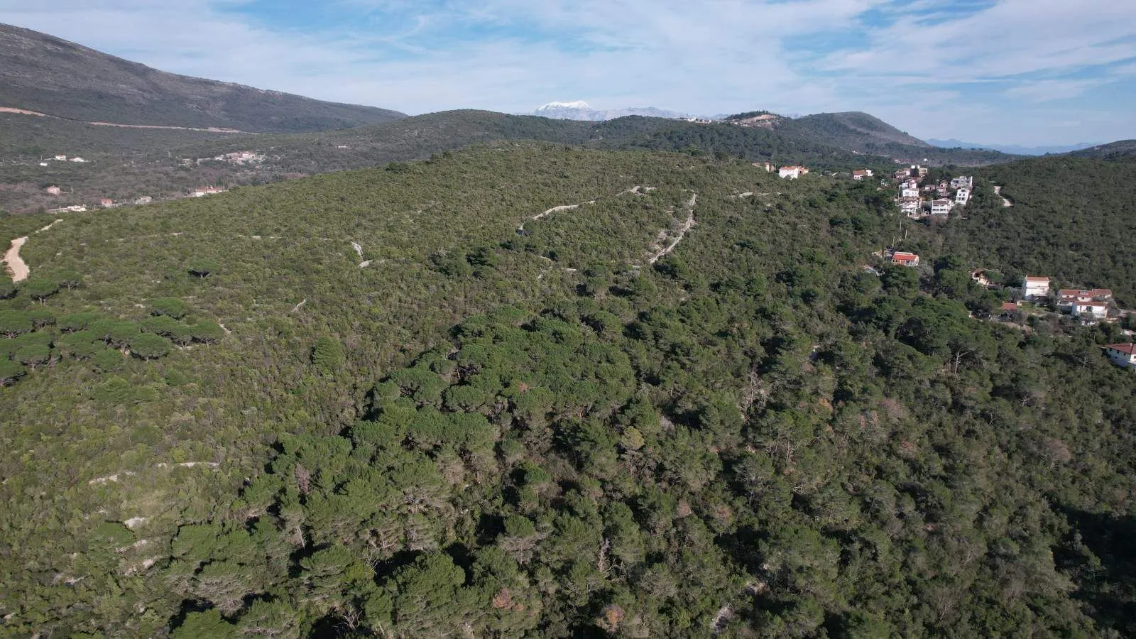 Prodaja, plac, 6500m², Luštica, Tivat