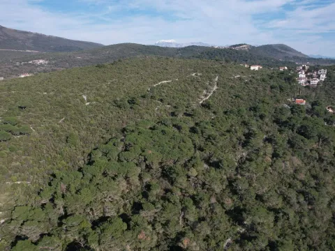 Prodaja, plac, 6500m², Luštica, Herceg Novi - image 8