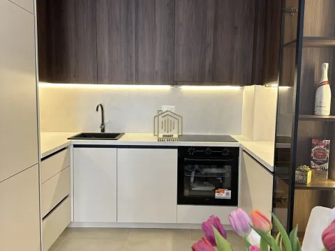 Rent, one bedroom apartment, 46m², Zabjelo, Podgorica - image 4