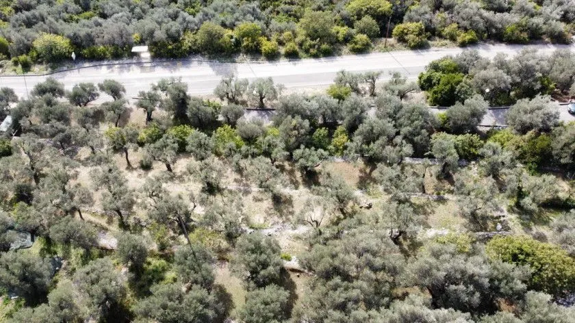 Prodaja, plac, 1700m², Reževići, Budva