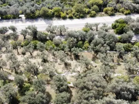 Prodaja, plac, 1700m², Reževići, Budva - image 8