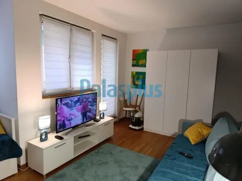 Izdavanje, jednosoban stan, 31m², Olimp, Zvezdara Sve Podlokacije - image 4