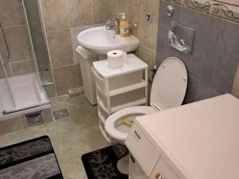 Rent, two bedroom apartment, 50m², Sajmište, Novi Sad - image 9