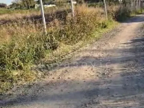 Prodaja, plac, 7090m², Stari Slankamen, Inđija - image 4