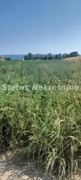 Pogled na prostrano zeleno zemljište pod travom i rastinjem. - image 2