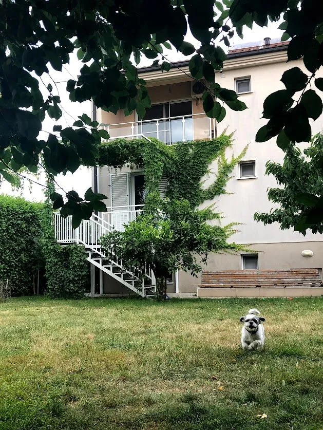 Izdavanje, kuća, 240m², Donja Gorica, Podgorica