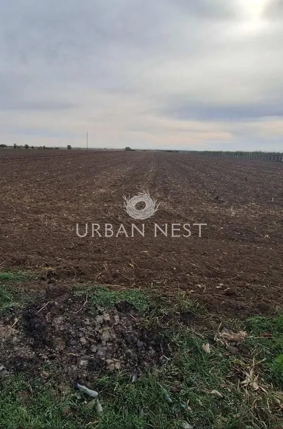 Prodaja, plac, 22750m², Zemun Ugrinovci, Zemun Sve Podlokacije
