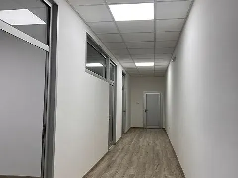 Izdavanje, poslovni prostor, 350m², Zemun Sve Podlokacije, Beograd - image 10
