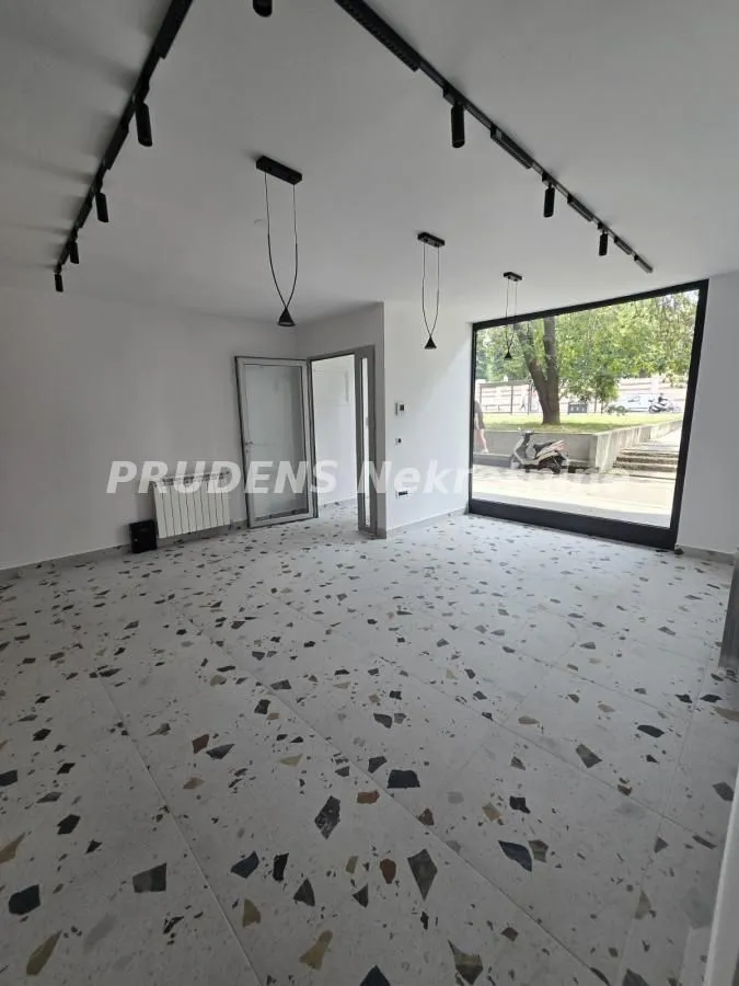 Izdavanje, poslovni prostor, 296m², Palilula Sve Podlokacije, Beograd