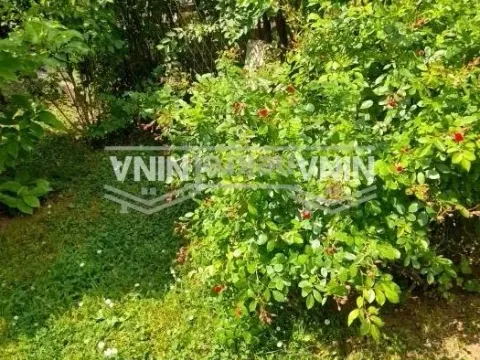 Prodaja, kuća, 250m², Mladenovac, Beograd - image 4