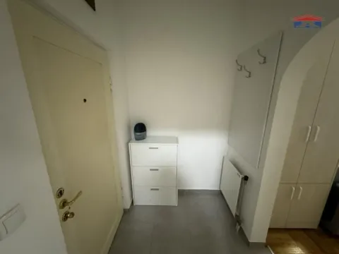 Izdavanje, garsonjera, 25m², Grbavica, Novi Sad Sve Podlokacije - image 11