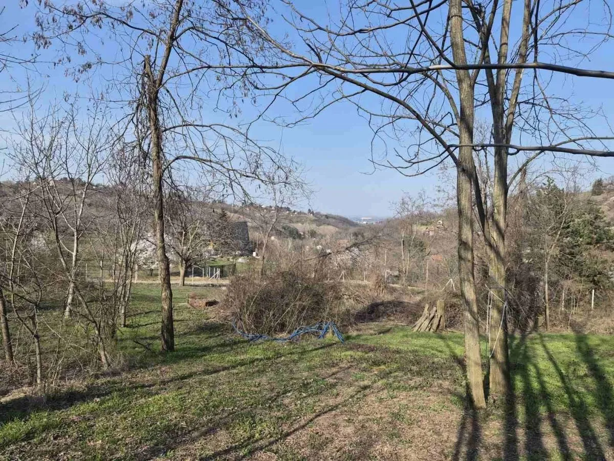 Prodaja, plac, 5000m², Sremska Kamenica, Petrovaradin