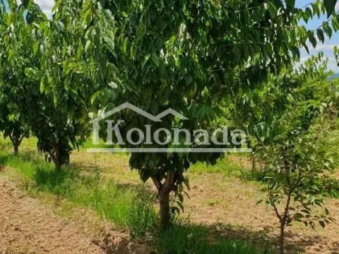 Prodaja, plac, 10200m², Sopot, Beograd - image 5