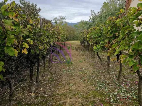 Prodaja, plac, 75m², Danilovgrad, Crna Gora - image 4