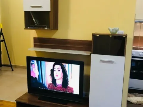 Rent, one bedroom apartment, 48m², Zabjelo, Podgorica - image 3