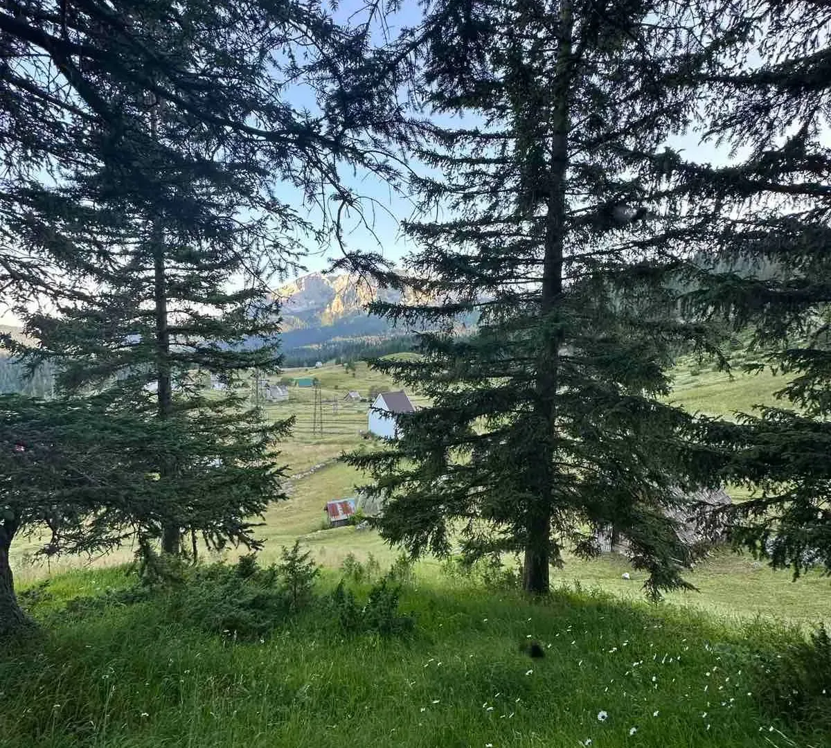 Prodaja, plac, 1303m², Žabljak, Crna Gora