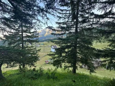 Prodaja, plac, 1303m², Žabljak, Crna Gora - image 3