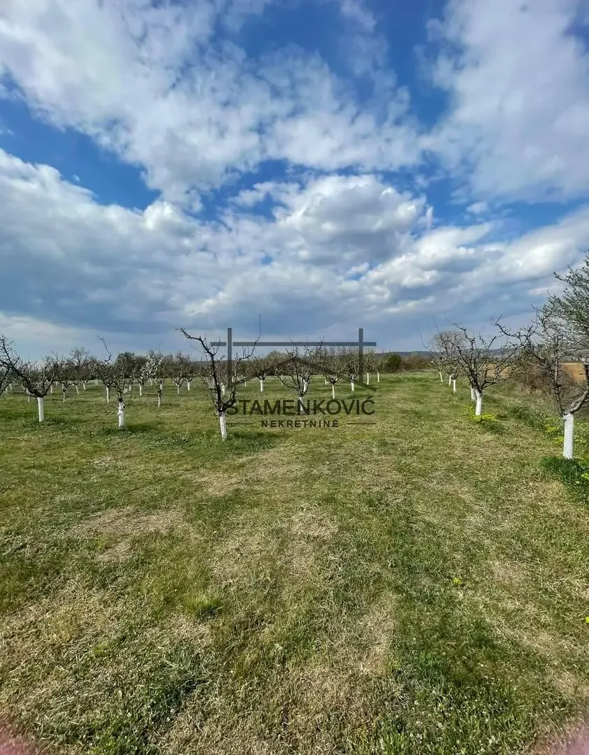 Prodaja, plac, 4636m², Sremska Mitrovica, Srbija