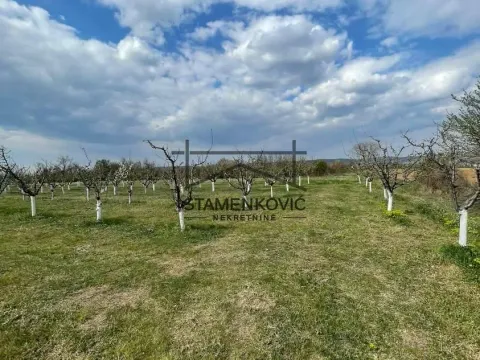 Prodaja, plac, 4636m², Sremska Mitrovica, Srbija - image 4