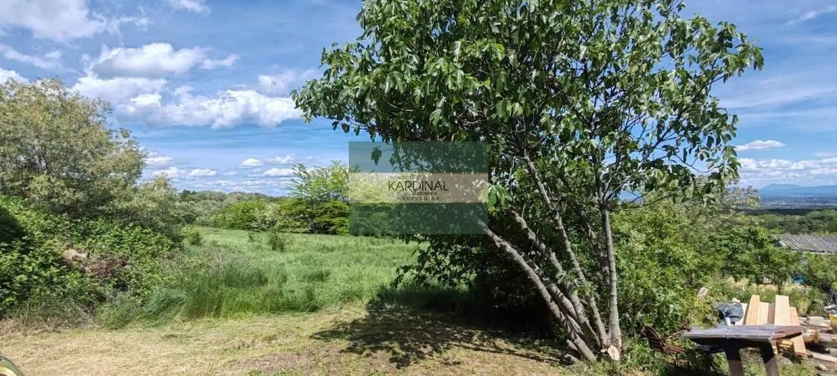 Prodaja, kuća, 250m², Crnče, Jagodina