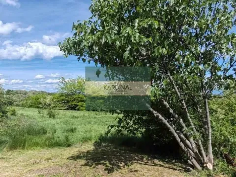 Prodaja, kuća, 250m², Crnče, Jagodina - image 38