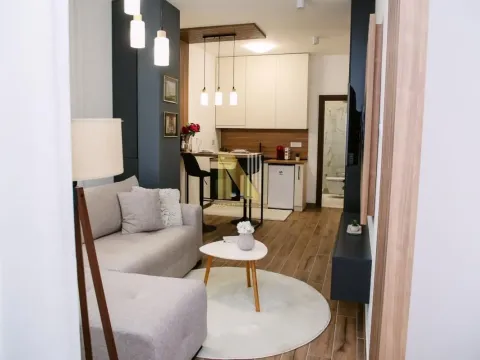 Sale, studio apartment, 33m², Banja Vrdnik, Irig - image 4