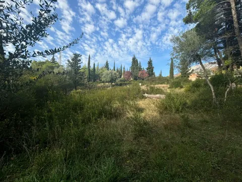Pogled na zeleno dvorište i okolnu prirodu sa drvećem i rastinjem. - image 8
