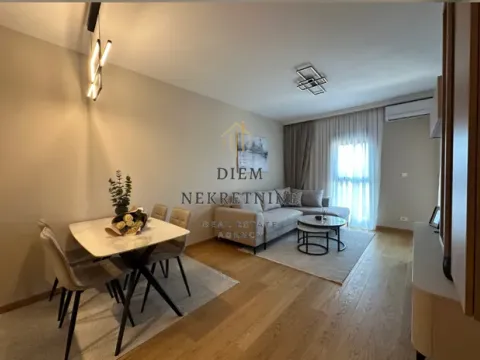 Izdavanje, jednosoban stan, 46m², Centar, Podgorica - image 18