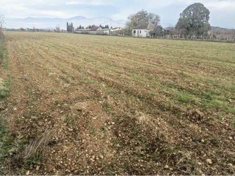 Prodaja, plac, 9100m², Mataguži, Podgorica - image 9