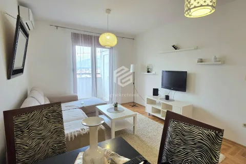 Rent, one bedroom apartment, 45m², Stari Aerodrom, Podgorica - image 2