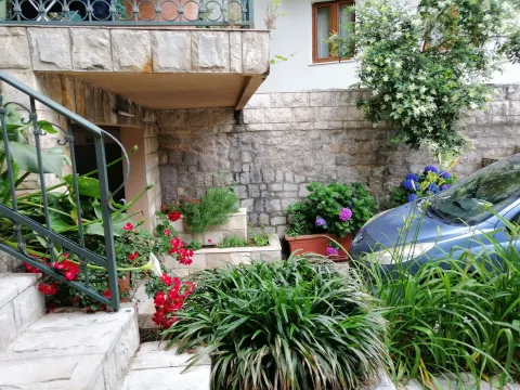 Dvorište kuće sa stepeništem i zelenilom. - image 9