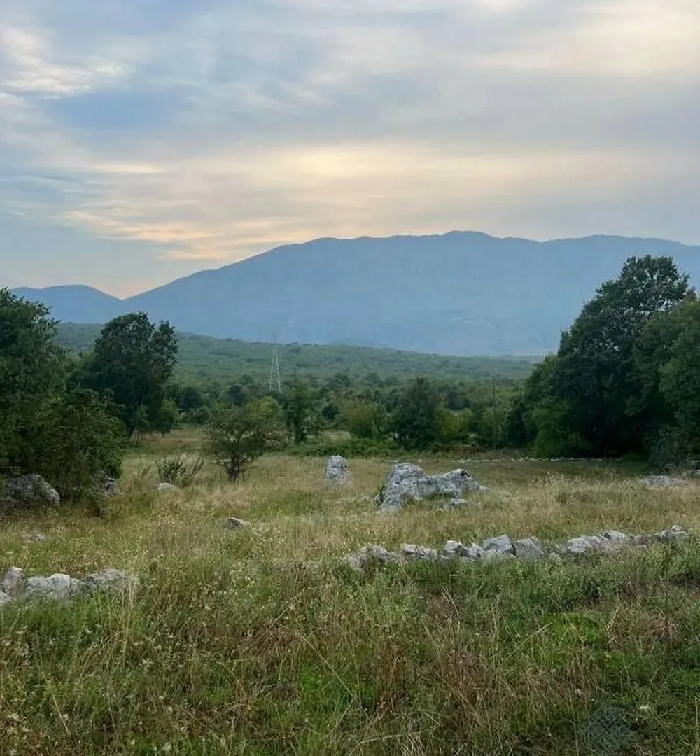 Prodaja, plac, 30000m², Danilovgrad, Crna Gora