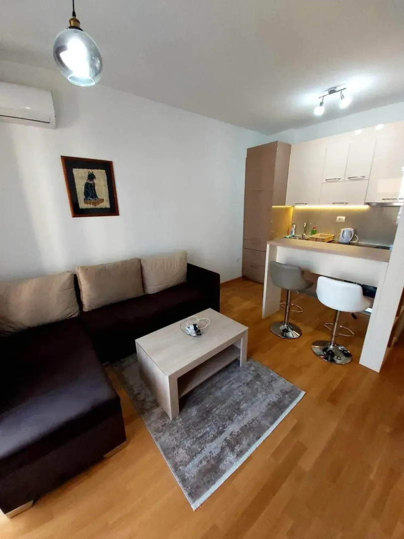 Bright living room combined with a small kitchen and a bar counter.