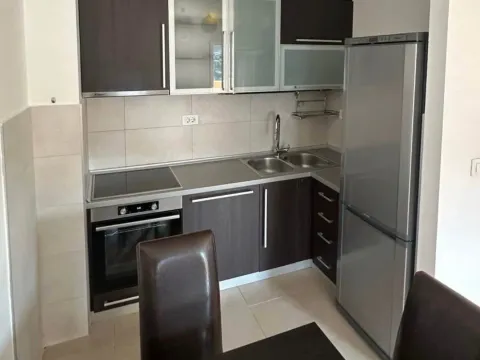 Rent, one bedroom apartment, 45m², Zagorič, Podgorica - image 3