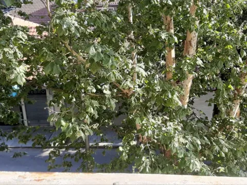 Izdavanje, jednosoban stan, 42m², Centar, Podgorica - image 3