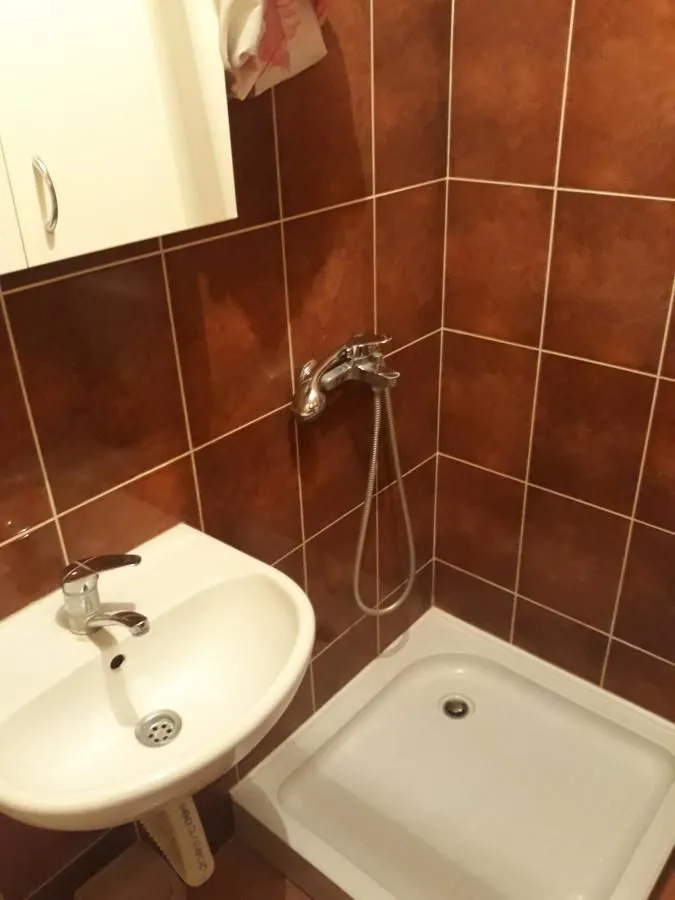 Izdavanje, jednosoban stan, 32m², Bulevar patrijarha Pavla, Novi Sad Sve Podlokacije