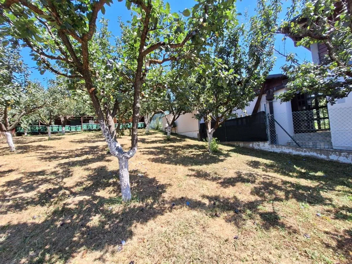 Sale, house, 253m², Banja Vrdnik, Irig