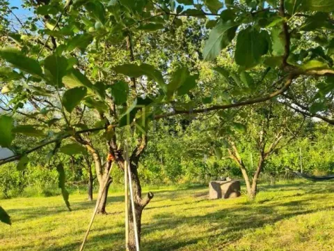 Prodaja, kuća, 220m², Martinići, Danilovgrad - image 2