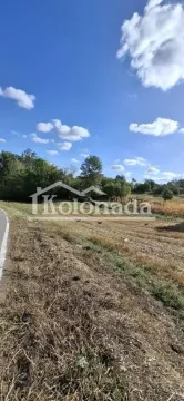 Pogled na zemljište i okolnu prirodu pored puta. - image 6