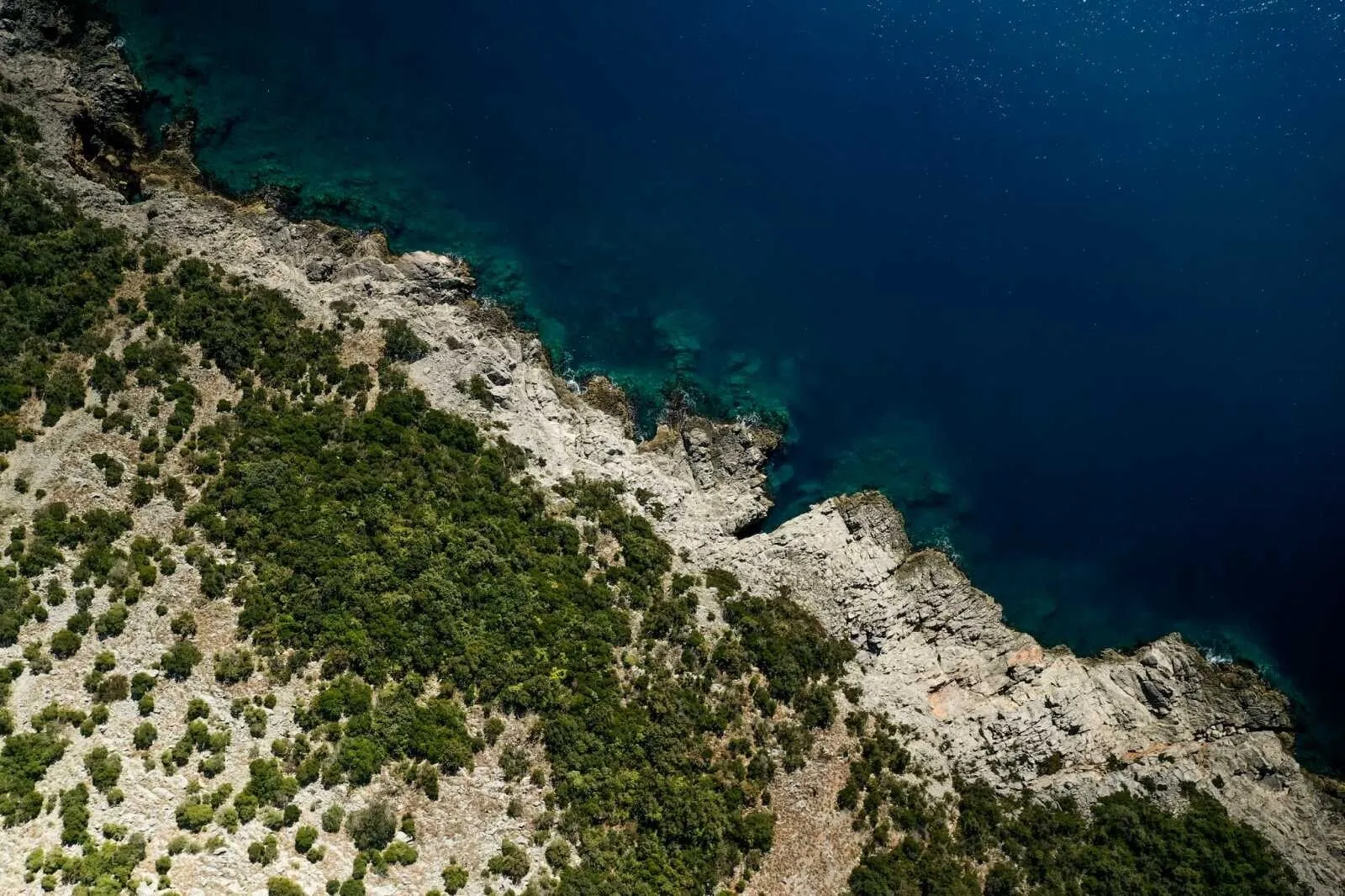 Prodaja, plac, 5000m², Kotor, Crna Gora