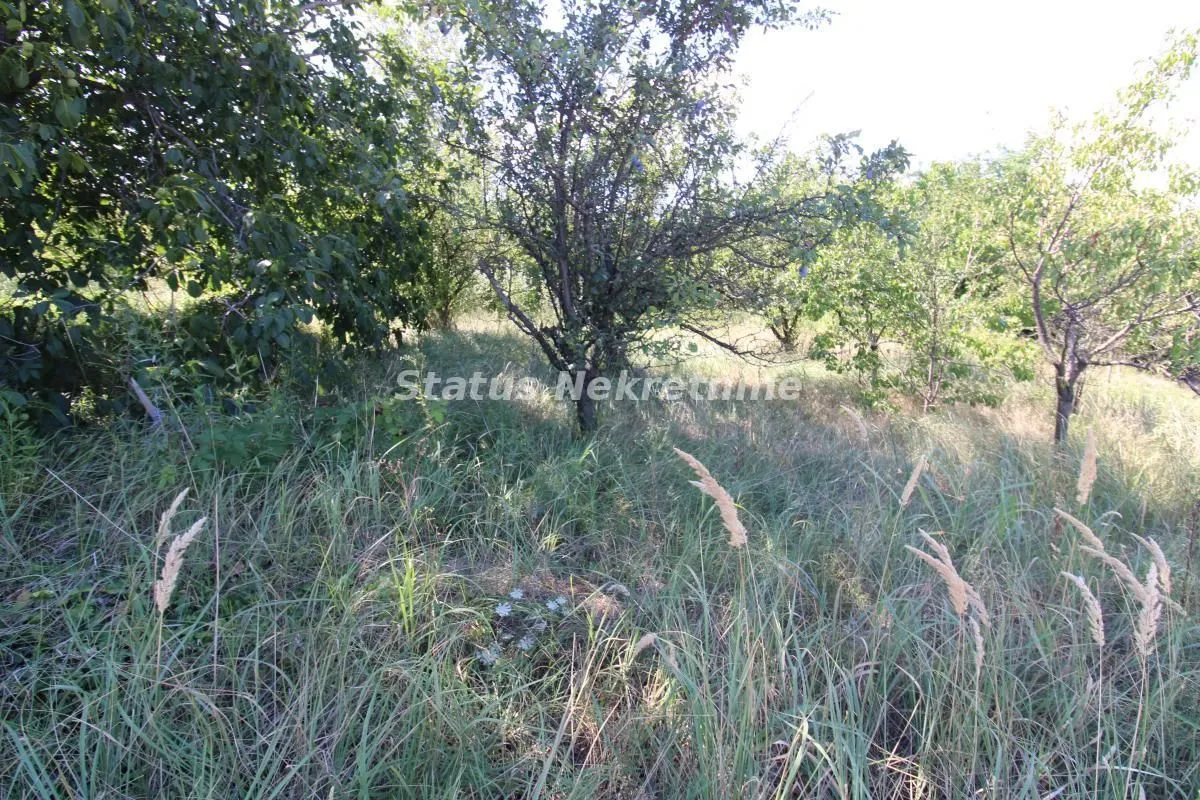 Prodaja, plac, 3276m², Petrovaradin, Novi Sad