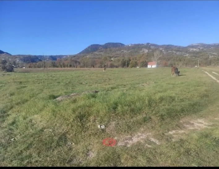 Sale, land lot, 3000m², Grahovo, Nikšić