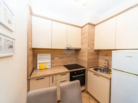 Izdavanje, jednosoban stan, 40m², Stari Aerodrom, Podgorica - image 5