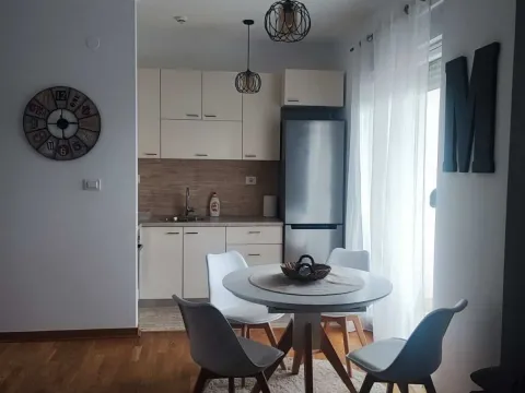 Izdavanje, jednosoban stan, 55m², Zagorič, Podgorica - image 2