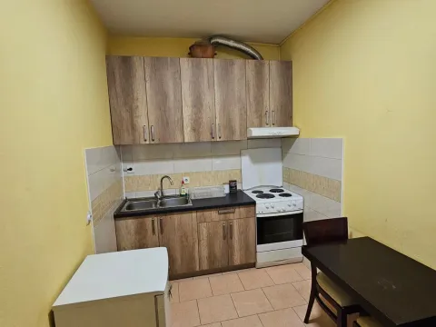 Rent, one bedroom apartment, 30m², Zabjelo, Podgorica - image 6