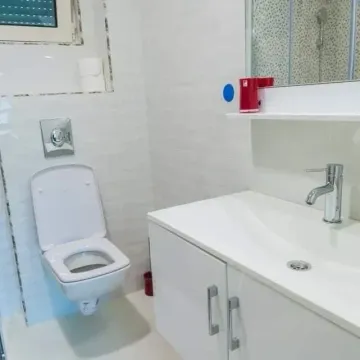 Brightly equipped bathroom with a washbasin and toilet bowl. - image 4