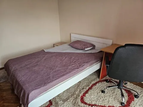 Manja spavaća soba sa krevetom, radnim stolom i tepihom. - image 21
