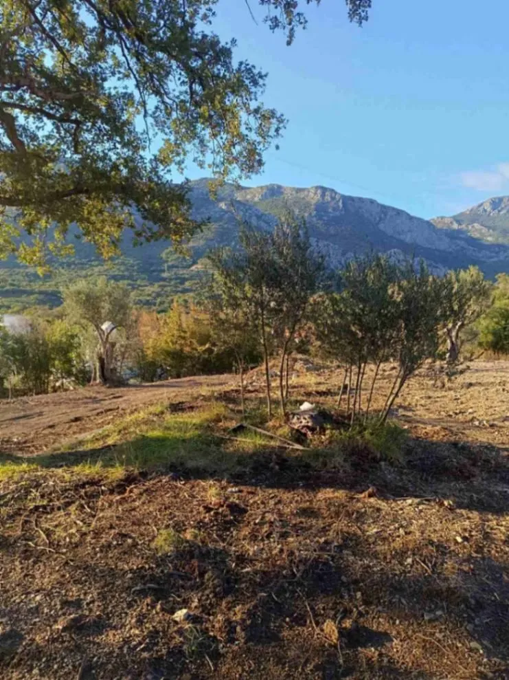 Prodaja, plac, 4250m², Bar, Crna Gora